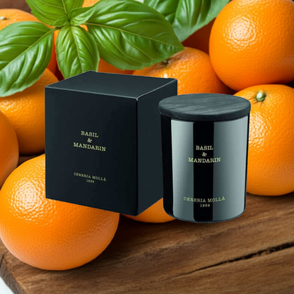 Cereria Molla - Basil & Mandarin Candle - 8 oz / 230 g - Coastous