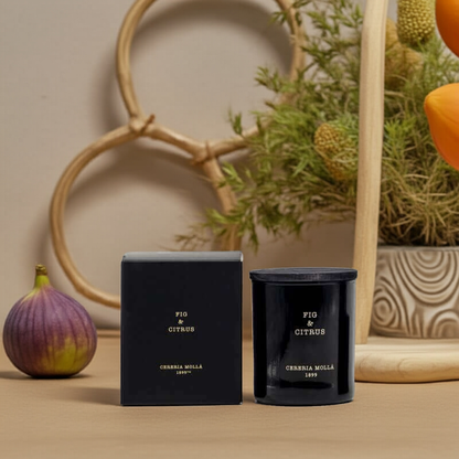 Cereria Molla - Fig & Citrus Black Premium Candle - 8 oz / 230 g - Coastous