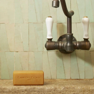 Carrière Frères - Solid Body Soap Silvae   