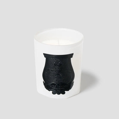 Trudon - Rose Poivrée Candle   