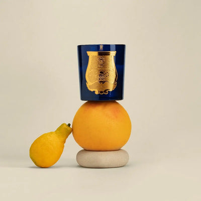 Trudon - Salta Candle   