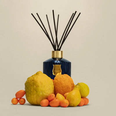 Trudon - Diffuser Reggio   