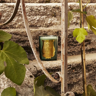Trudon - Figuerie Candle   