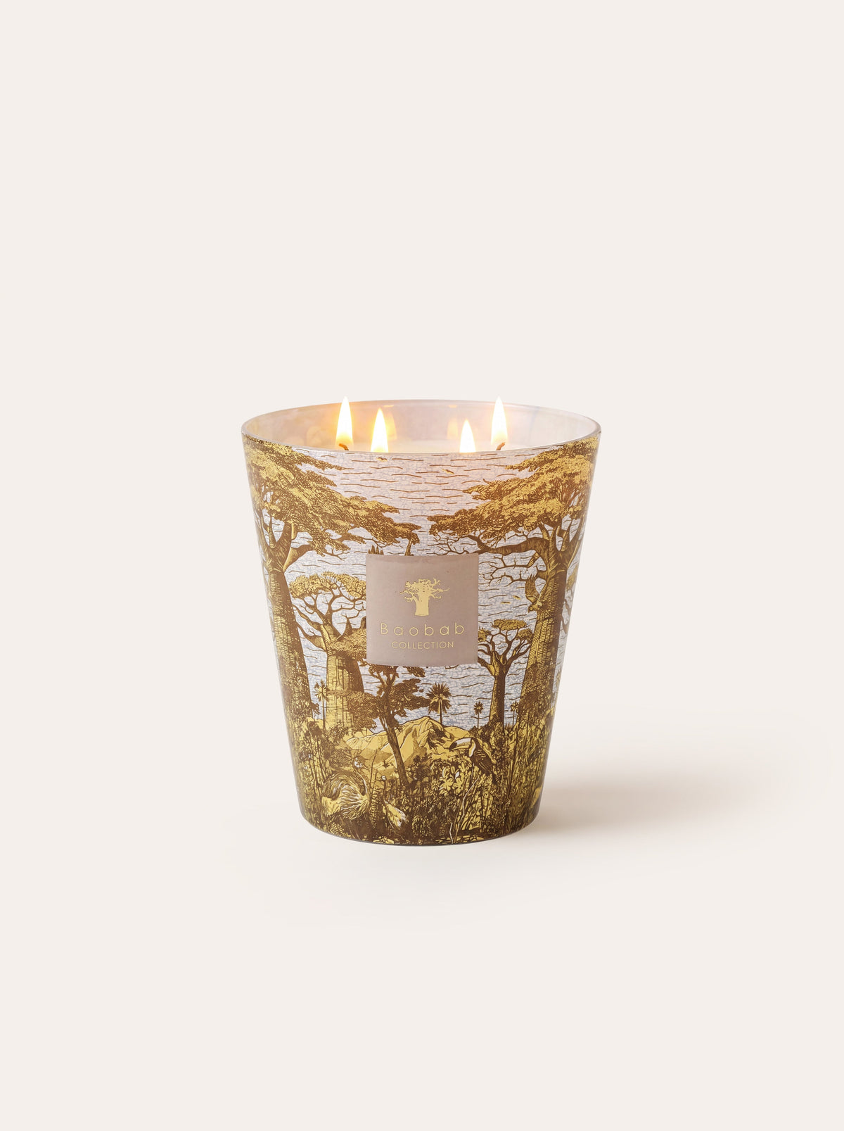 Baobab Collection - Scented Candle Sacred Trees Bounkani
