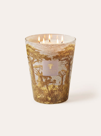 Baobab Collection - Scented Candle Sacred Trees Bounkani