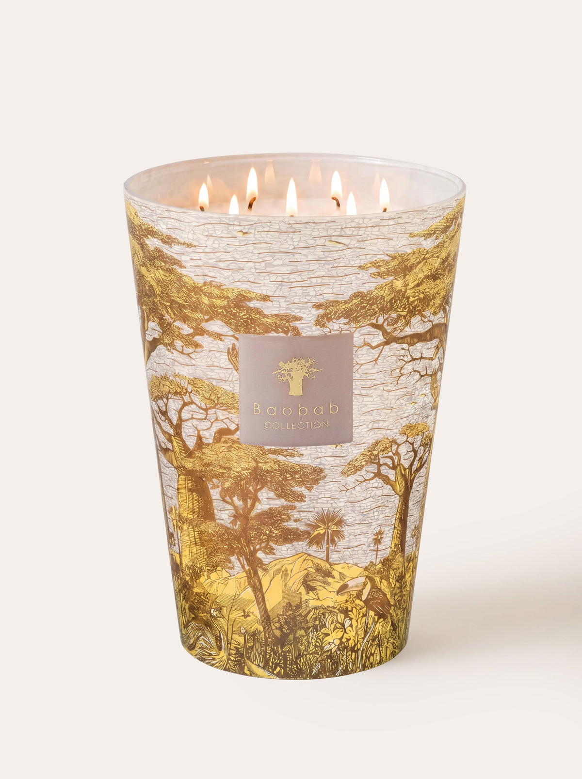 Baobab Collection - Scented Candle Sacred Trees Bounkani