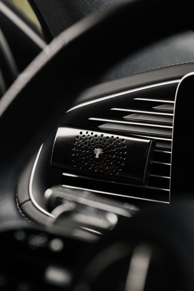 Baobab Collection - Car Diffuser Black Pearls