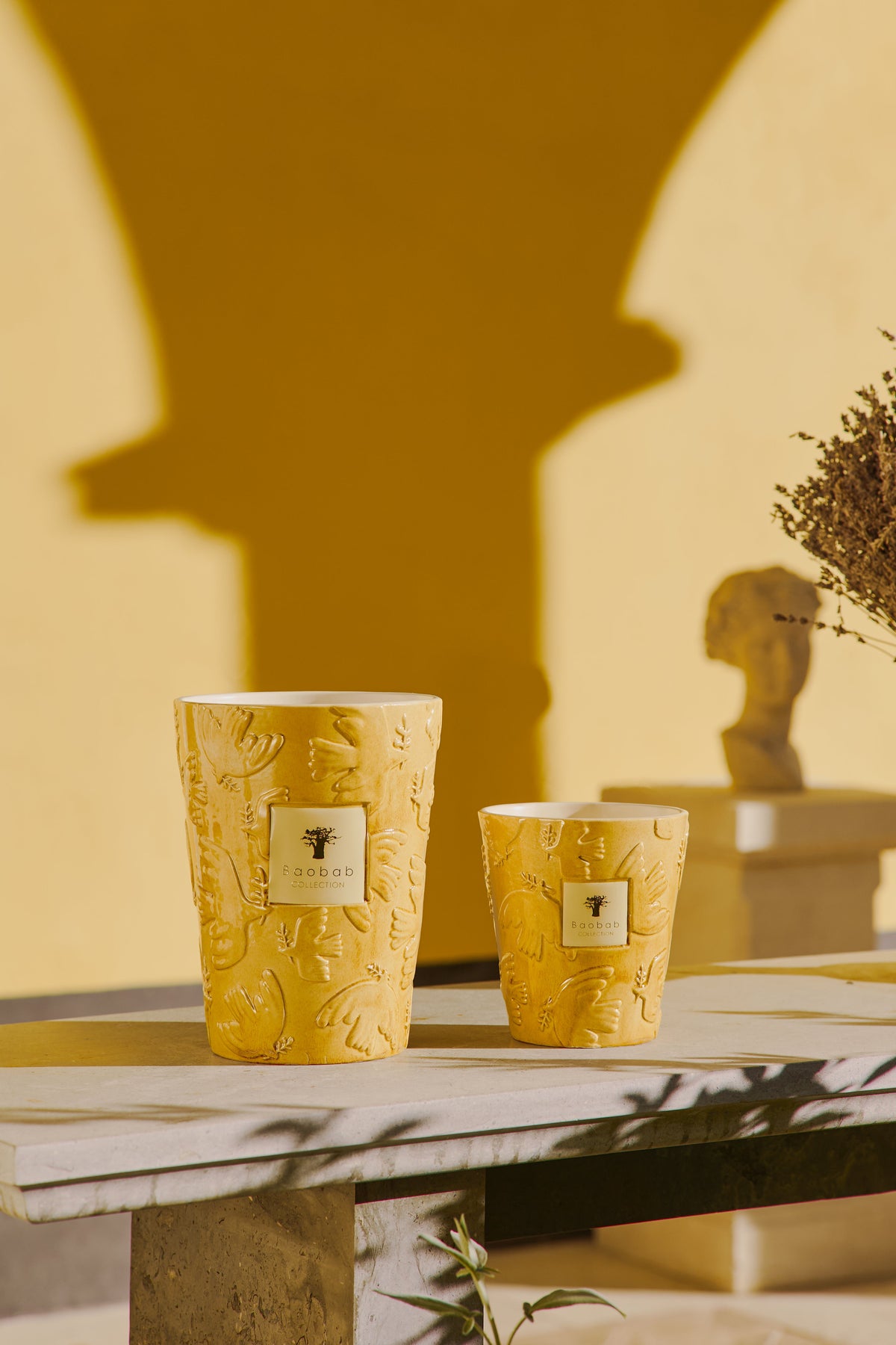 Baobab Collection - Scented Candle Paz Dove