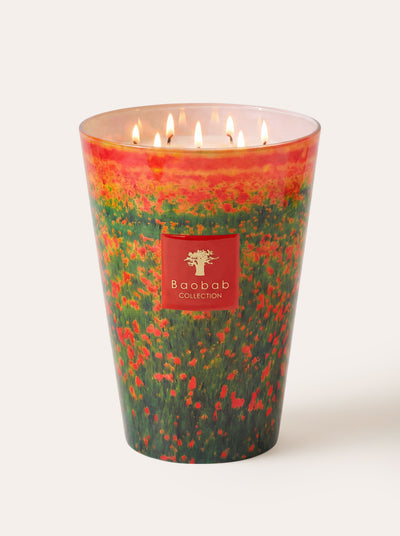 Baobab Collection - Arty Flowers Poppies Candle