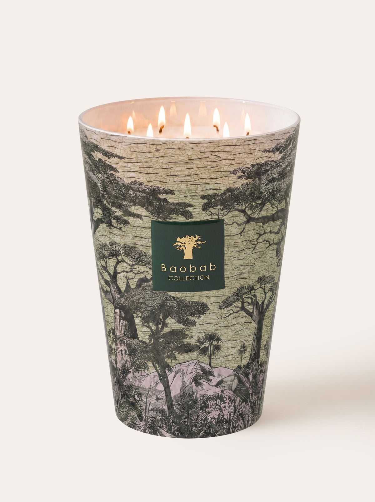 Baobab Collection - Scented Candle Sacred Trees Touba