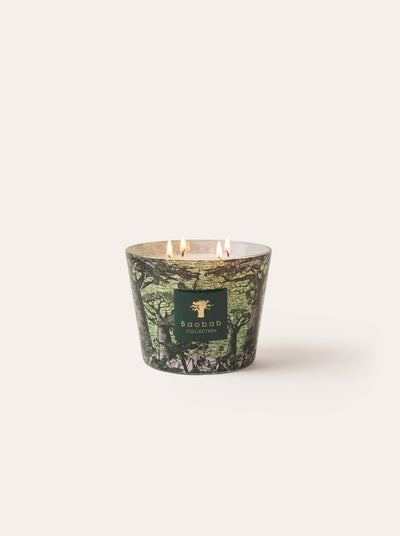 Baobab Collection - Scented Candle Sacred Trees Touba