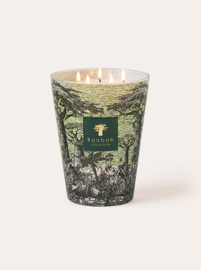 Baobab Collection - Scented Candle Sacred Trees Touba