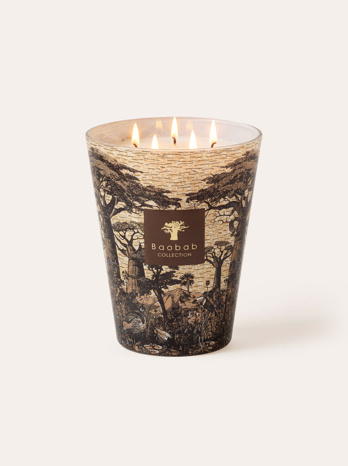 Baobab Collection - Scented Candle Sacred Trees Mankono