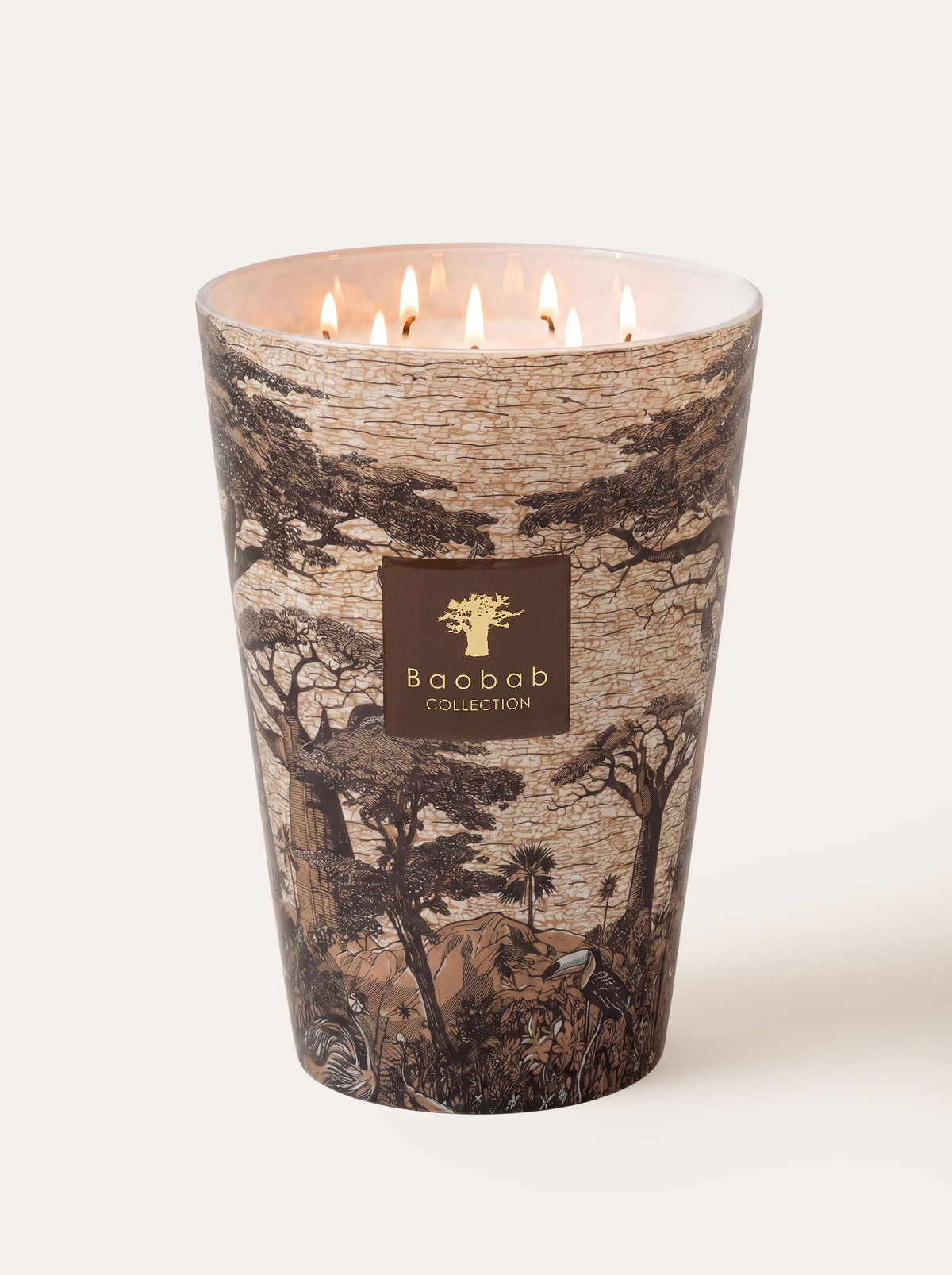 Baobab Collection - Scented Candle Sacred Trees Mankono
