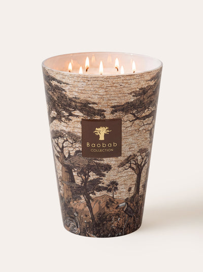 Baobab Collection - Scented Candle Sacred Trees Mankono