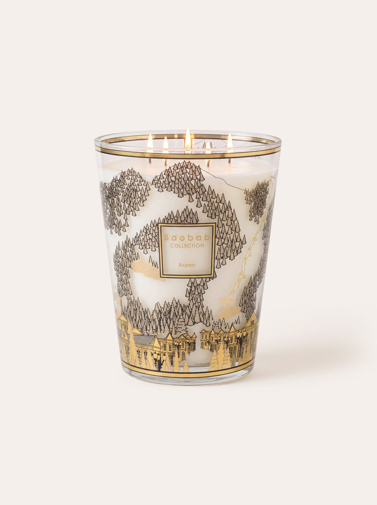 Baobab Collection - Aspen Scented Candle