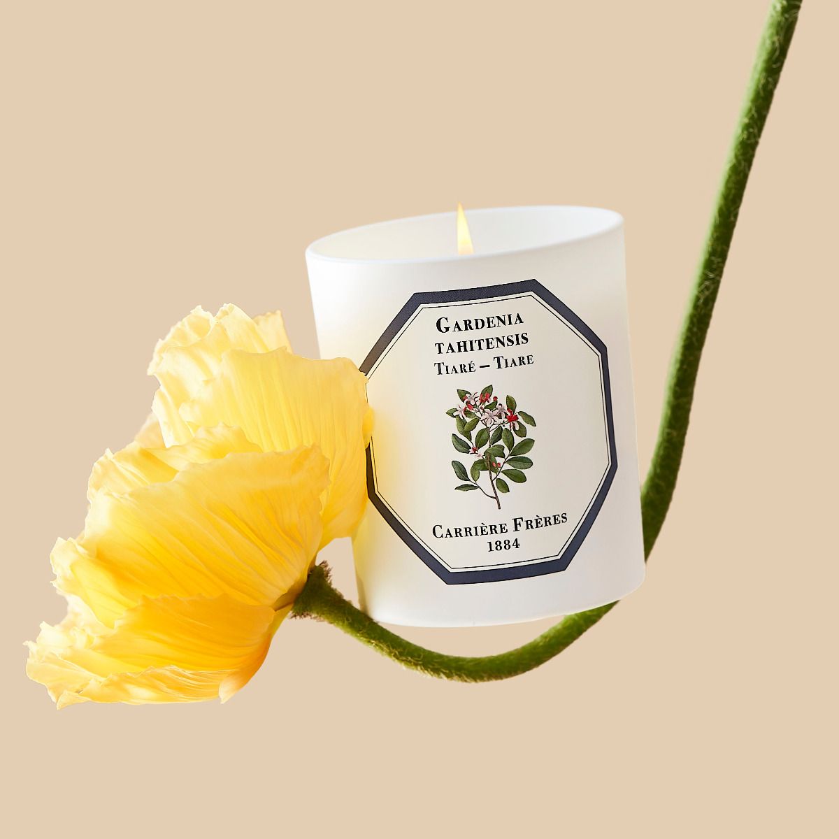 Carrière Frères - Tiare Candle