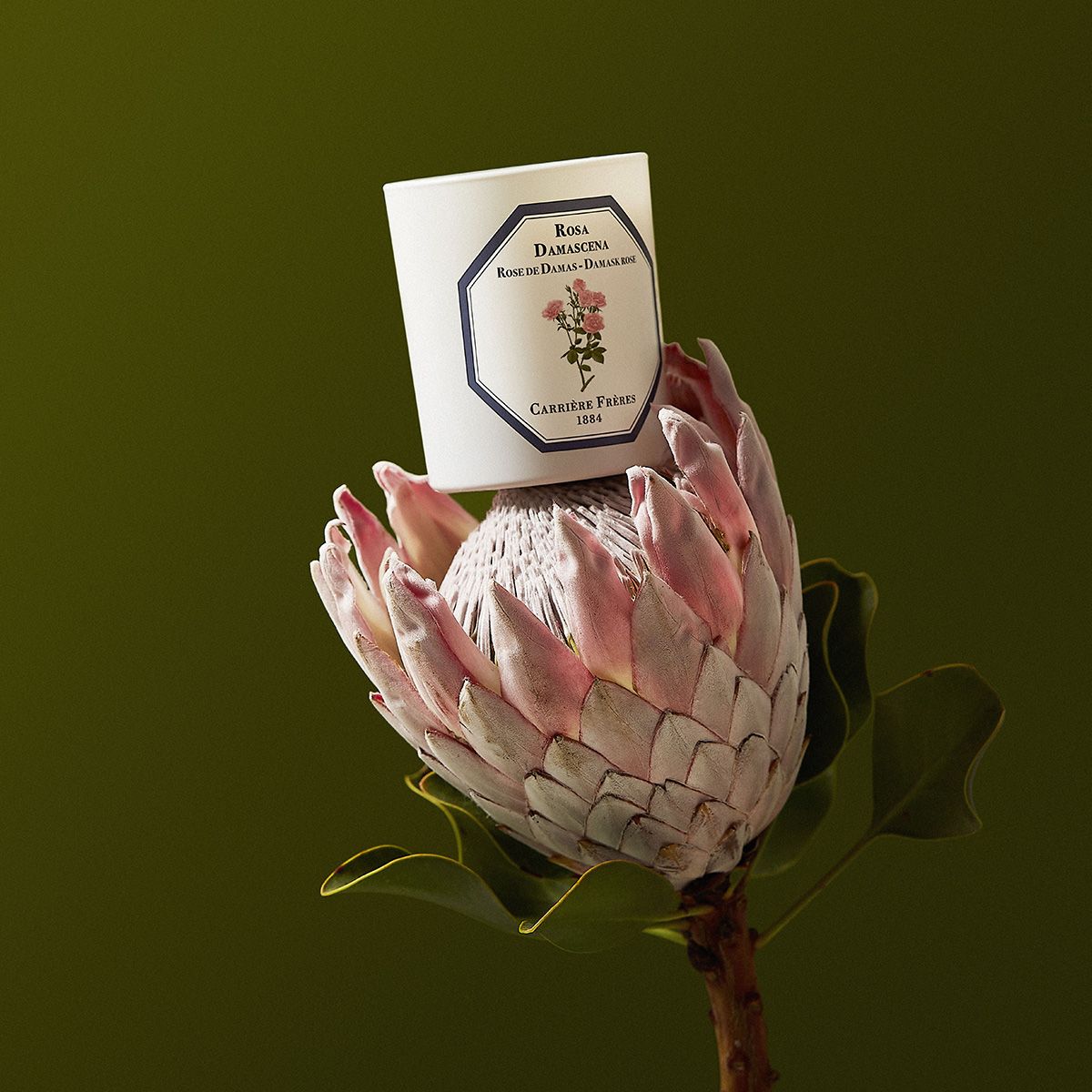 Carrière Frères - Damask Rose Candle