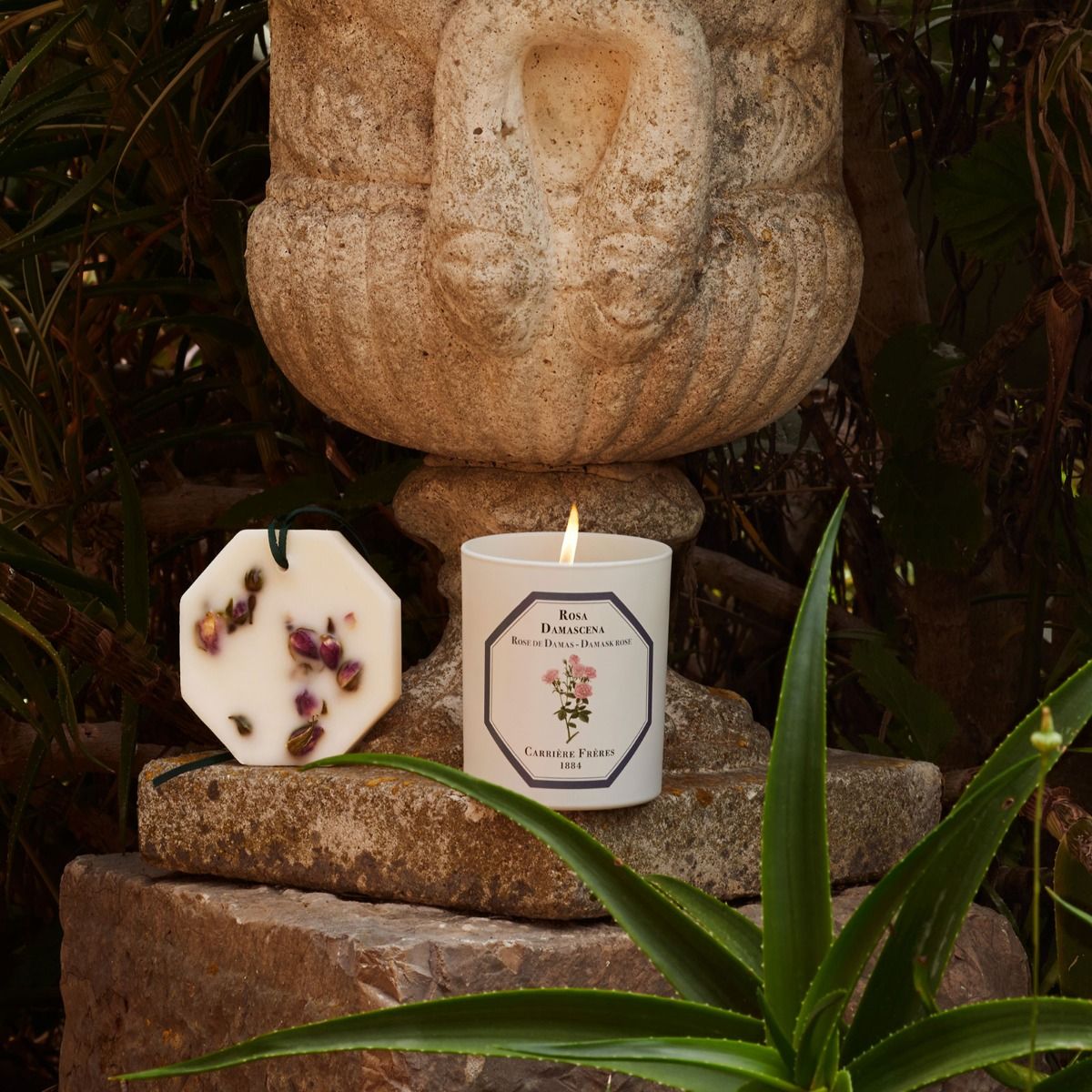 Carrière Frères - Damask Rose Candle