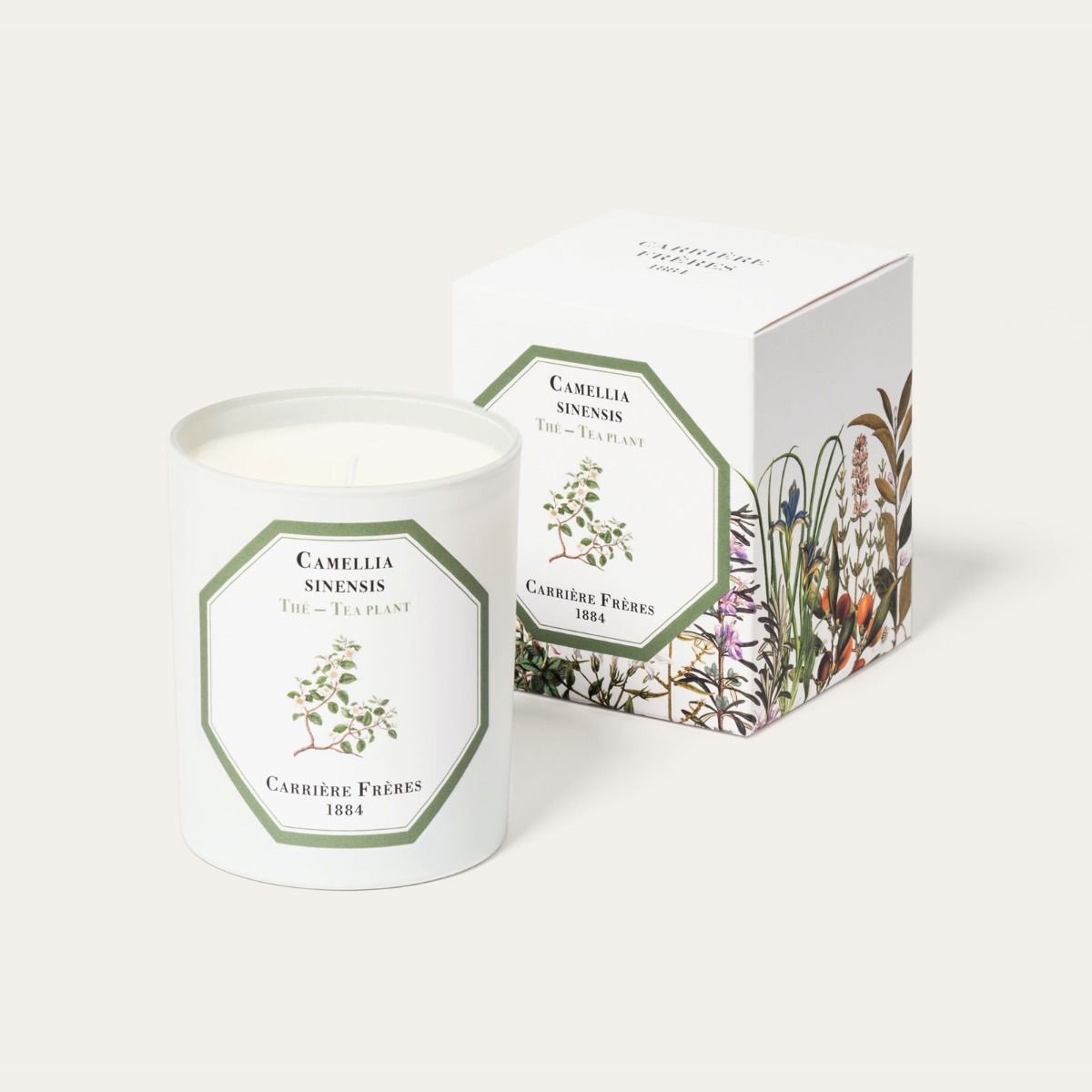 Carrière Frères - Tea Plant Candle