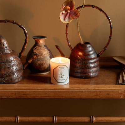 Carrière Frères - Tea Plant Candle