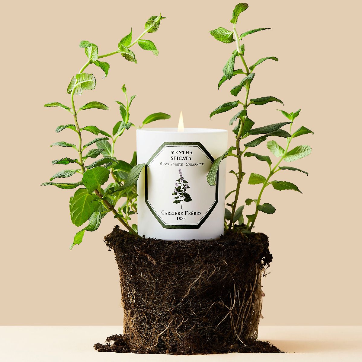 Carrière Frères - Spearmint Candle