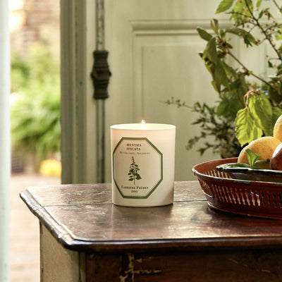 Carrière Frères - Spearmint Candle