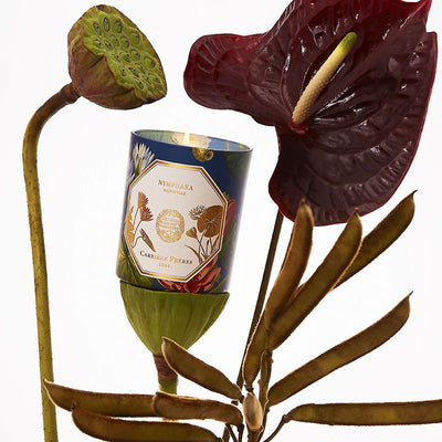Carrière Frères - Waterlily Candle