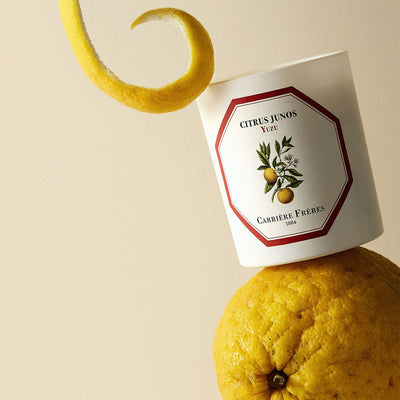 Carrière Frères - Yuzu Candle