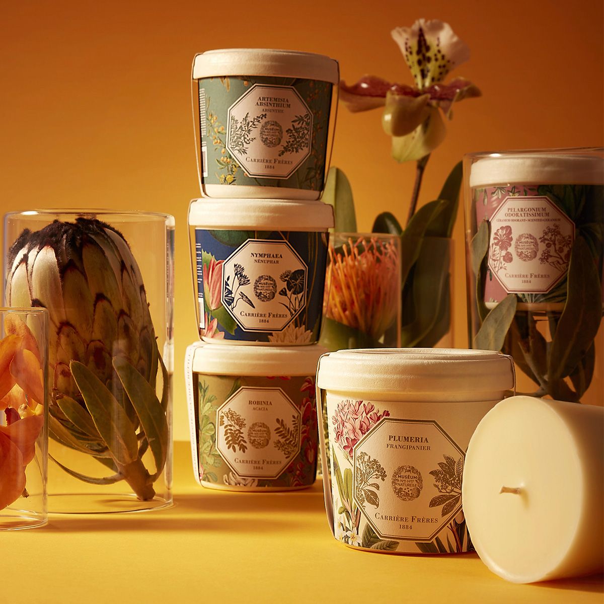 Carrière Frères - Refill for Absinthe Candle