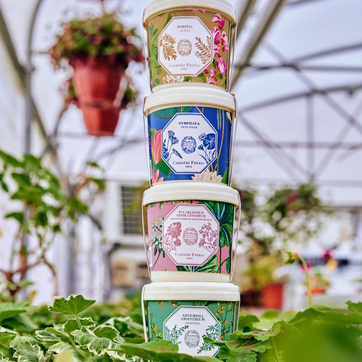 Carrière Frères - Refill for Geranium Candle