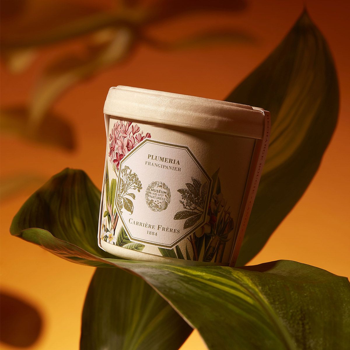 Carrière Frères - Refill for Frangipani Candle