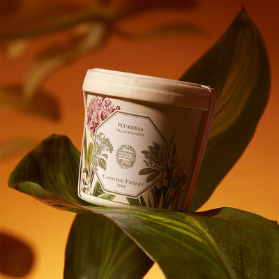 Carrière Frères - Refill for Frangipani Candle