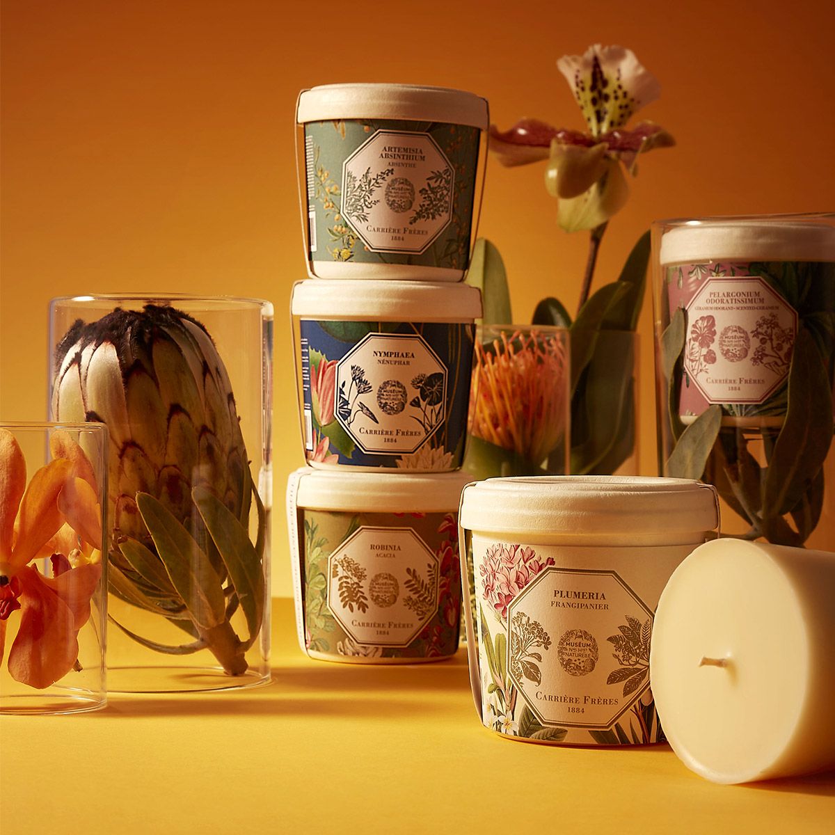 Carrière Frères - Refill for Frangipani Candle