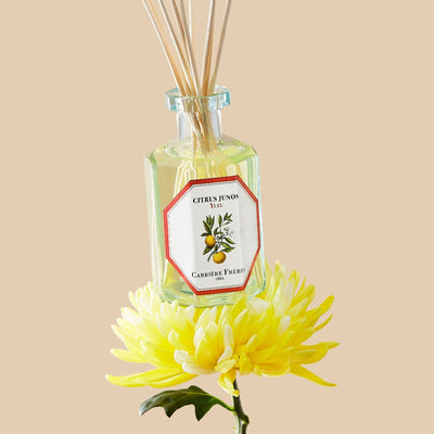 Yuzu Diffuser