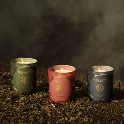 Carrière Frères - Winter Flower Candle 6.5 oz   
