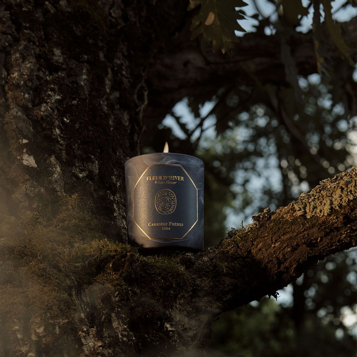 Winter Flower Candle 6.5 oz Carrière Frères